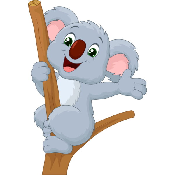 Koala 02
